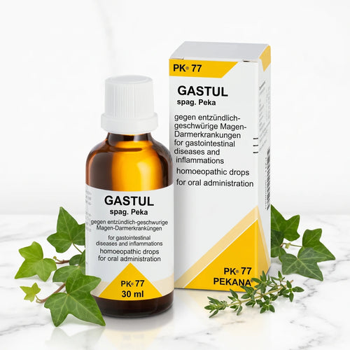 PK 77 GASTUL