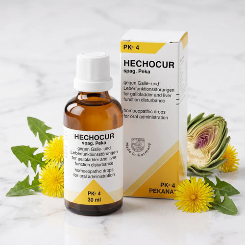 PK 04 HECHOCUR (Apo Hepat) 