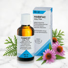PK 27 HABIFAC 4