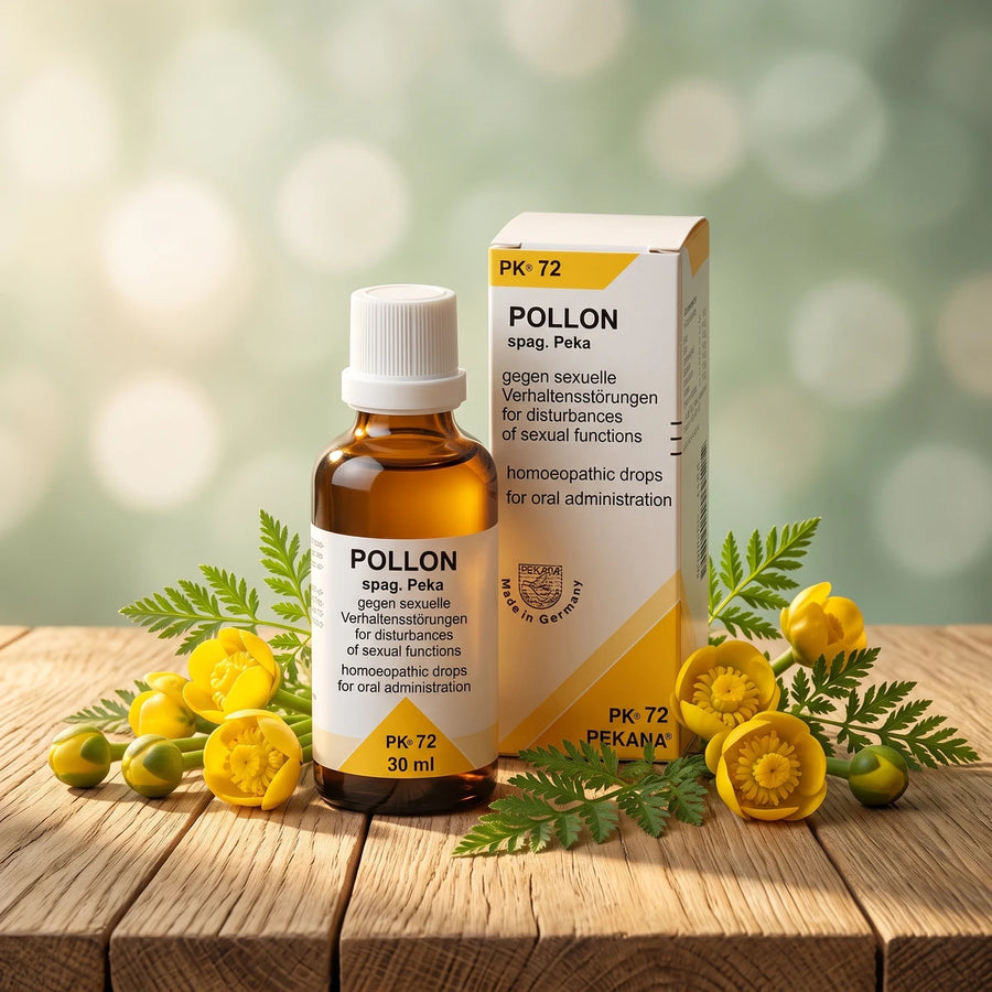 PK 72 POLLON